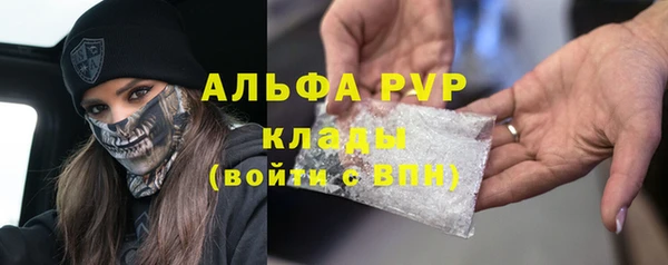 ПСИЛОЦИБИНОВЫЕ ГРИБЫ Вязьма